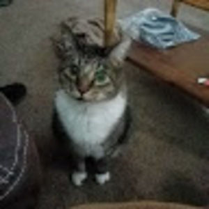 Meet your Posher, Dylan